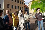 Öffentliche Stadtführung in Pirna 2017