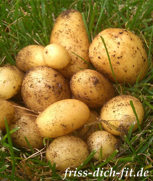 Kartoffeltag im Hängegarten 2020