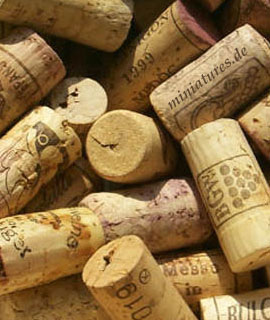 Bacchusfest im Weingut Raßkopf-Hofmann Bacchusfest im Weingut Raßkopf-Hofmann