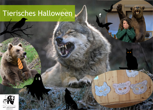 Tierisches Halloween 
