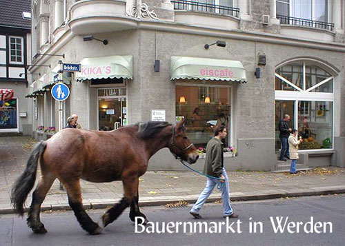 Bauernmarkt in Werden