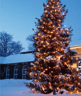 Glühweinhütte im Platanenhof Glühweinhütte im Platanenhof