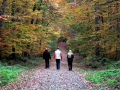 Sporthaus Innenstadt