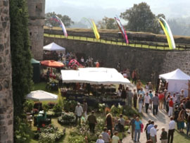 Rosen- & Gartenfestival