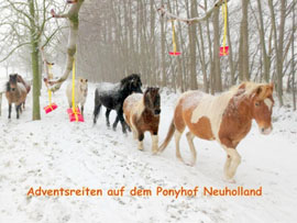 Adventreiten auf dem Ponyhof Neuholland