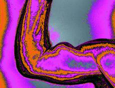 Starke Stücke ’08