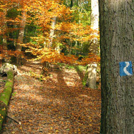 Wo (Rh)einsteigen in jedem Fall lohnt ... Wo (Rh)einsteigen in jedem Fall lohnt ...