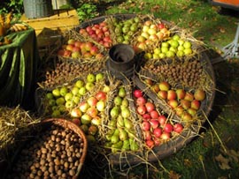 Herbstmarkt auf Schloss Marienburg
