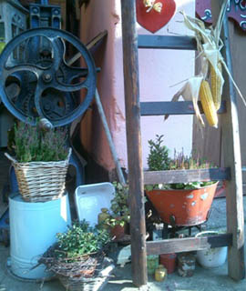 Tau’n Hoegen un mit maken