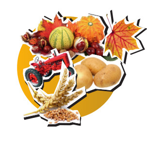 Herbstmarkt in Simmern 2025