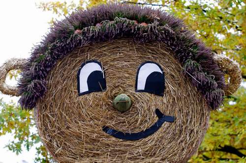 Soltauer Bauernmarkt