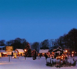 Pronstorfer Weihnachtsmarkt auf Gut Pronstorf